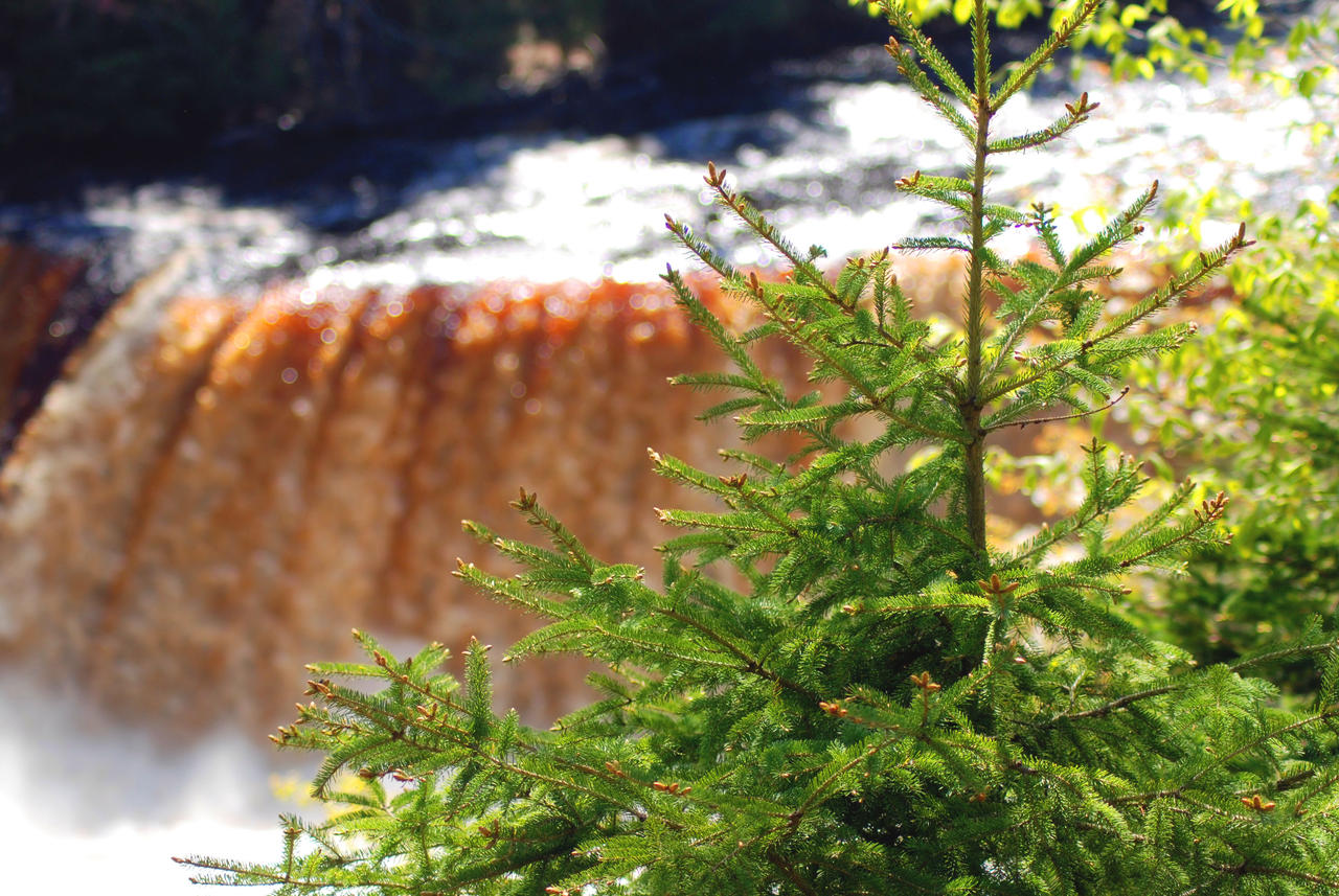 Tahquamenon Falls Michigan