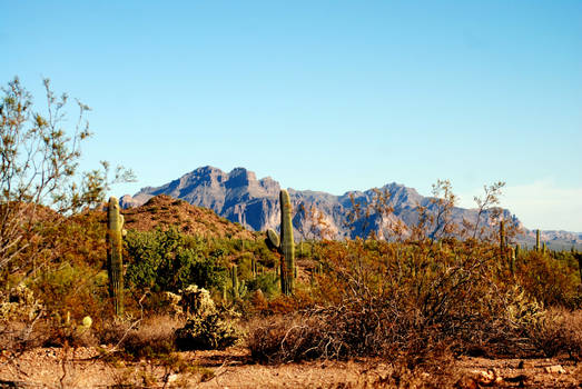 Usery Mountain Regional Park