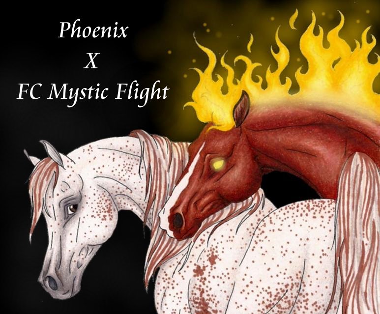 Phoenix x FC Mystic Flight