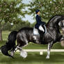 Draft Dressage