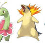 Johto starters Pokemon but is a lv.3