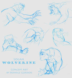 Logan Wolverine- Concept