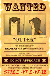 Wanted: Otterly Ridiculous