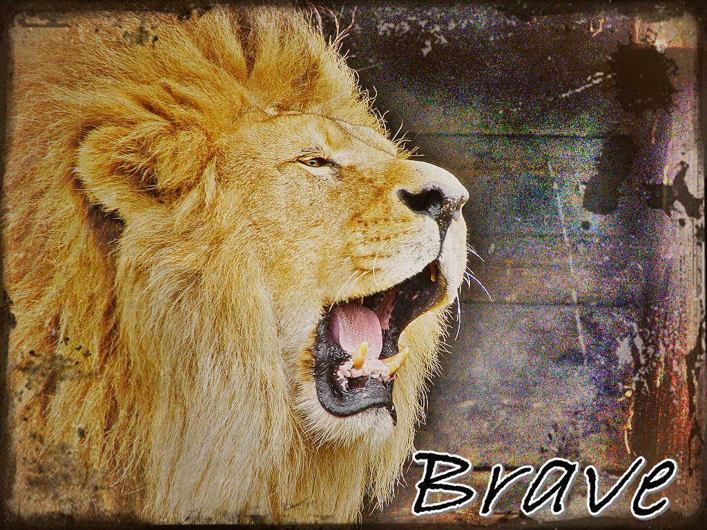Brave Lion By Sandramandra On Deviantart Brave Lion By Sandramandra On Deviantart
