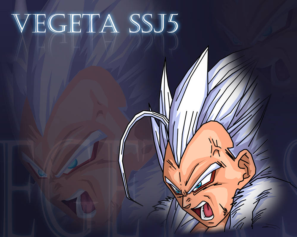 ssj5 vegeta - VEGETA fan Art (25449594) - fanpop