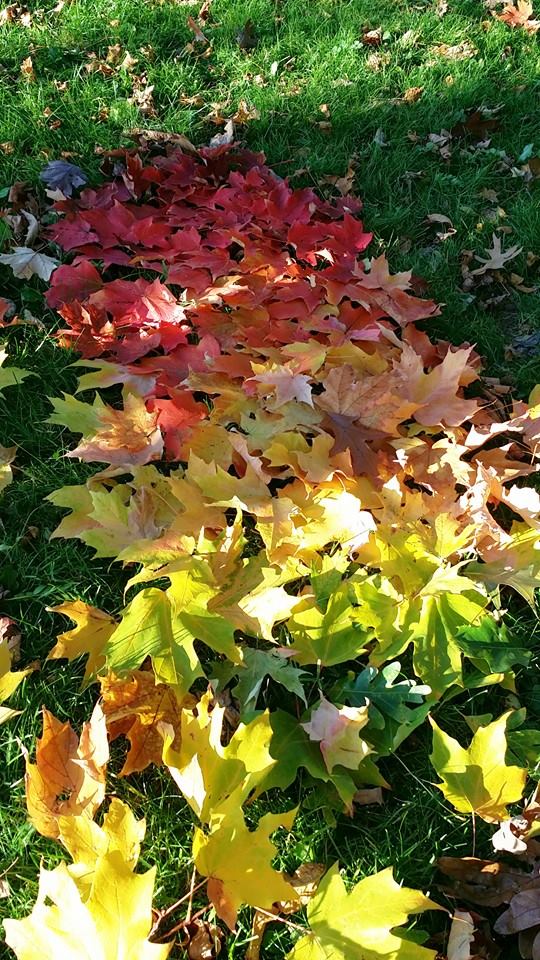 milwaukee leaves