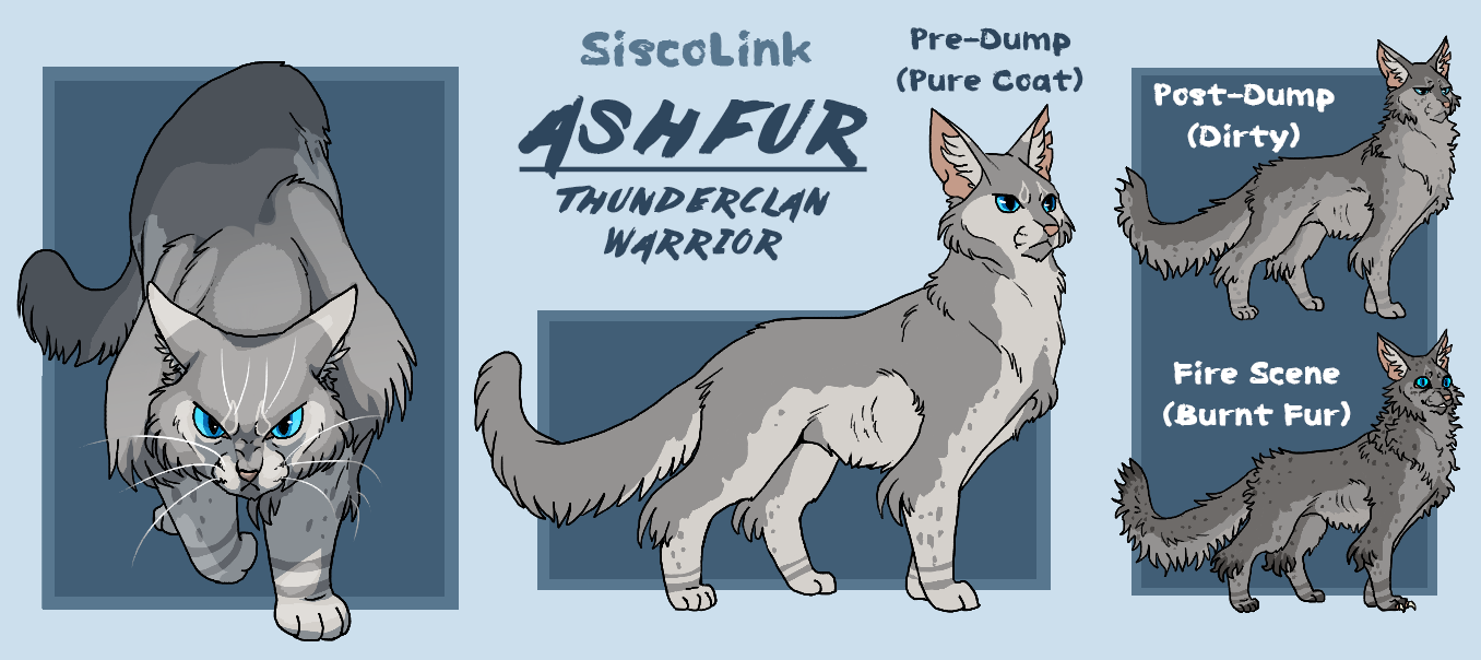 Gee on X: Warriors concept artistwhen? Ashfur concept design I did  today c:  / X