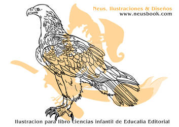 Muestra Dibujos Libro ciencias 09