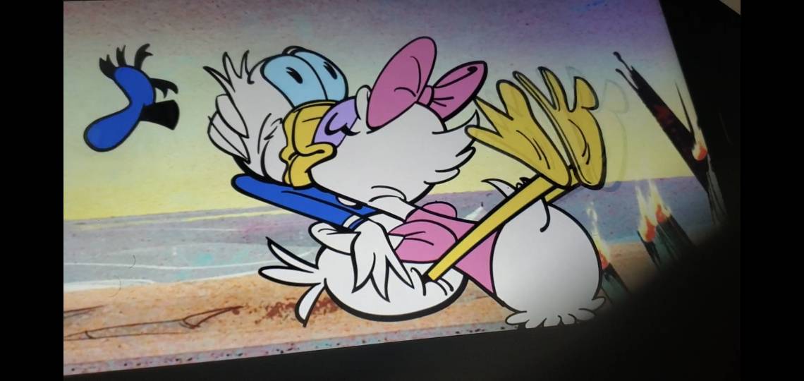Donald Duck And Daisy Duck Kissing Drawing