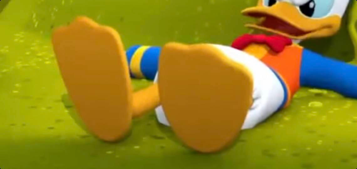 What Color Are Donald Duck's Feet at Gladys Starr blog