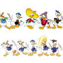 Donald Duck evolution thru the years