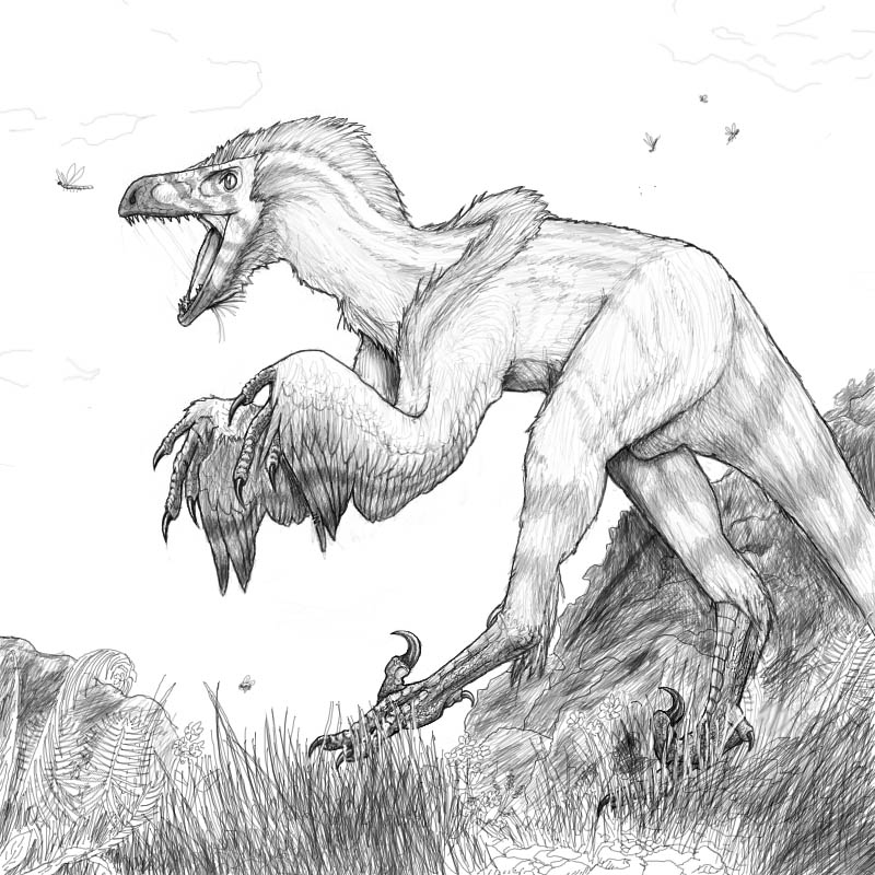 Feathered Raptor