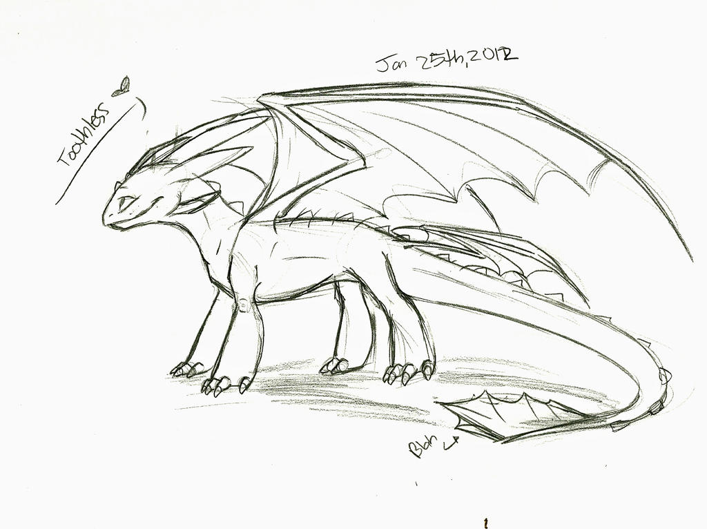 Toothless Sketch by CoastHarbour on DeviantArt