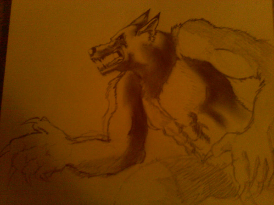 Unfinished Werewolf