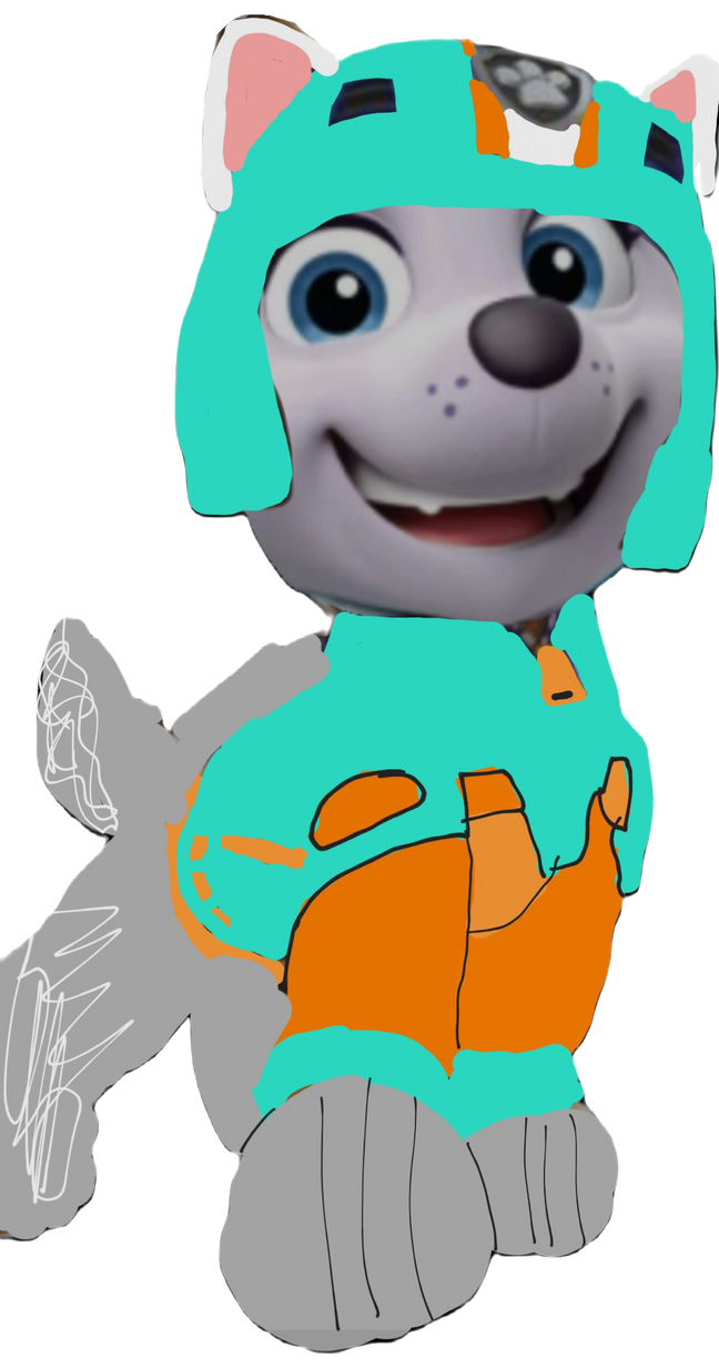 Paw patrol shop air rescue everest