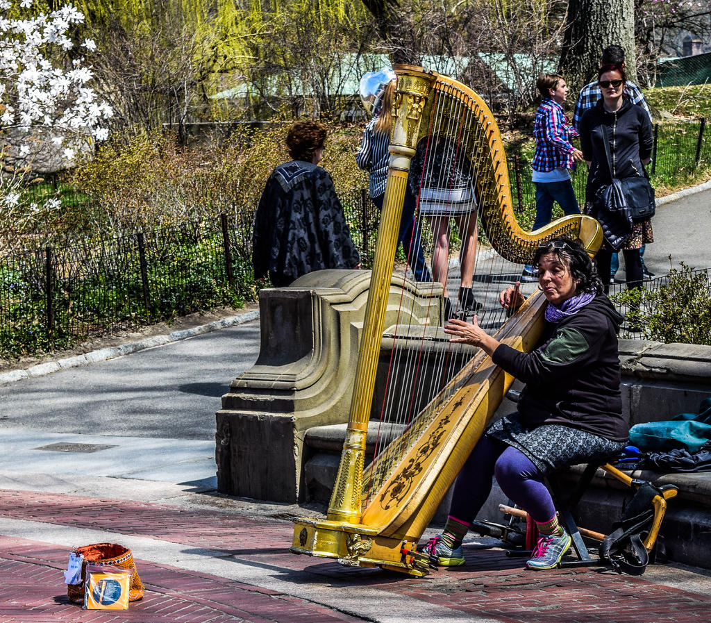 Harp Dreams