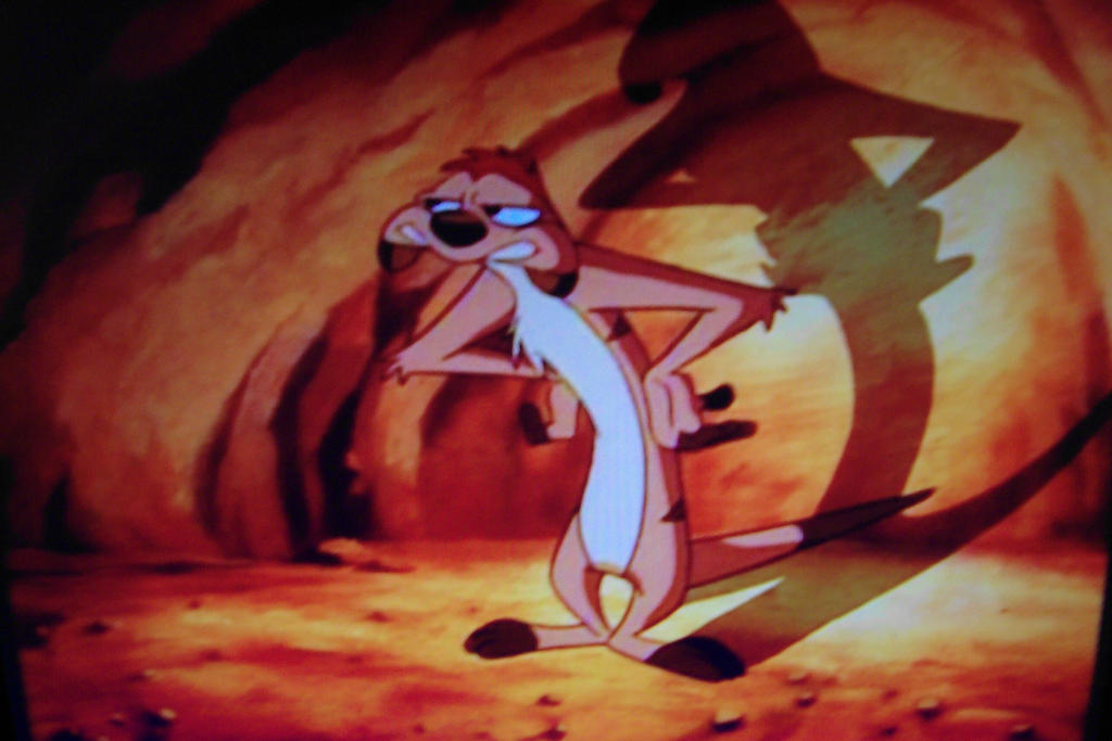 Timon Moments 6 by Wakko2010 on DeviantArt