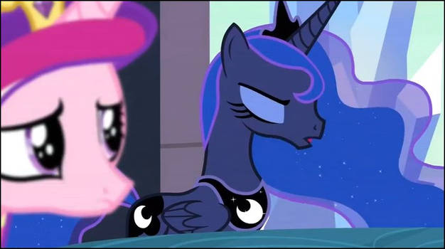 My Little Pony Friendship Magic Moments 312