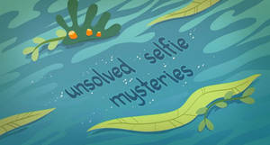 EQG Unsolved Selfie Mysteries part Name
