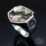 Yosemite Topo Signet ring - Sterling and Bronze