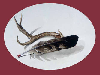 Antler and Feather