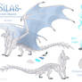 SIlas the white dragon Reference sheet.