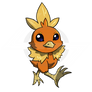 Torchic!