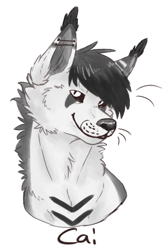 [headshot com] for colourbliind