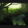 Jungle Reflection