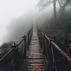 Bridge to the unknown