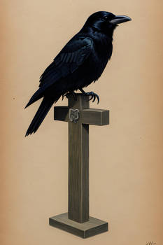 Raven, Nevermore