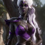 Sexy NightElf