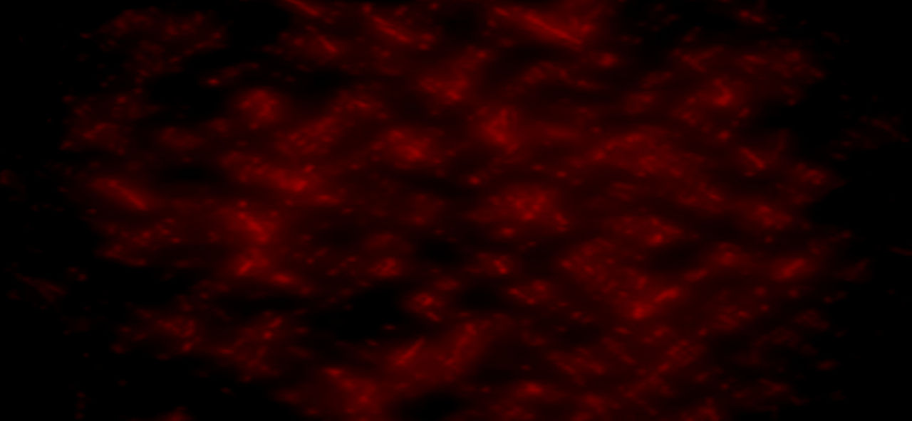 Dark Red Dimension by Venjix5 on DeviantArt