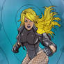 Black Canary Cry