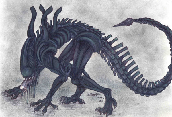 Xenomorph By Who stole MY name On DeviantArt xenomorph-by-who-stole-my-name-on-deviantart