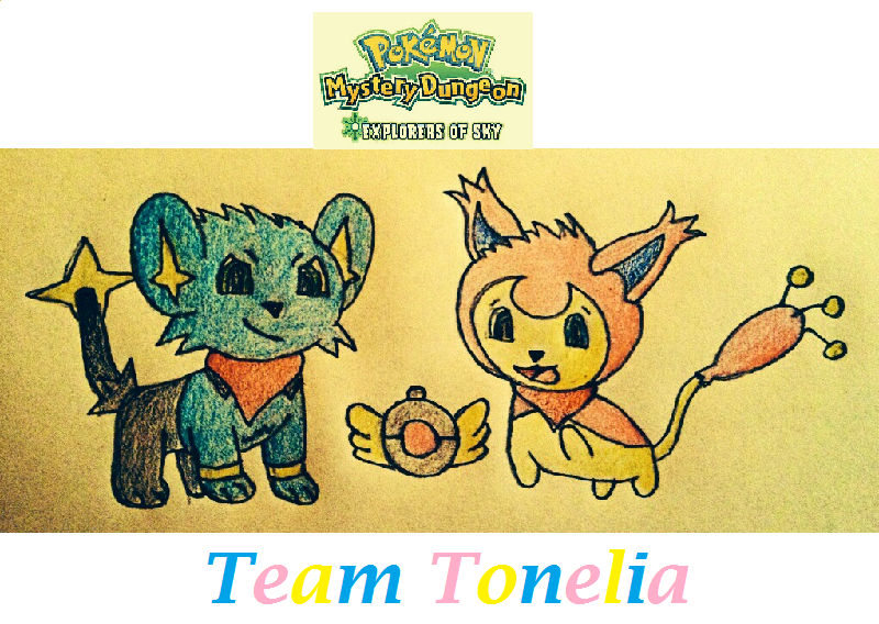 Shinx Pmd COMM: Skitty and Shinx PMD: EoS Team by TheBoldMouse on DeviantArt