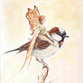 Faerie and sparrow