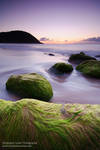 V light by ChristopheCarlier