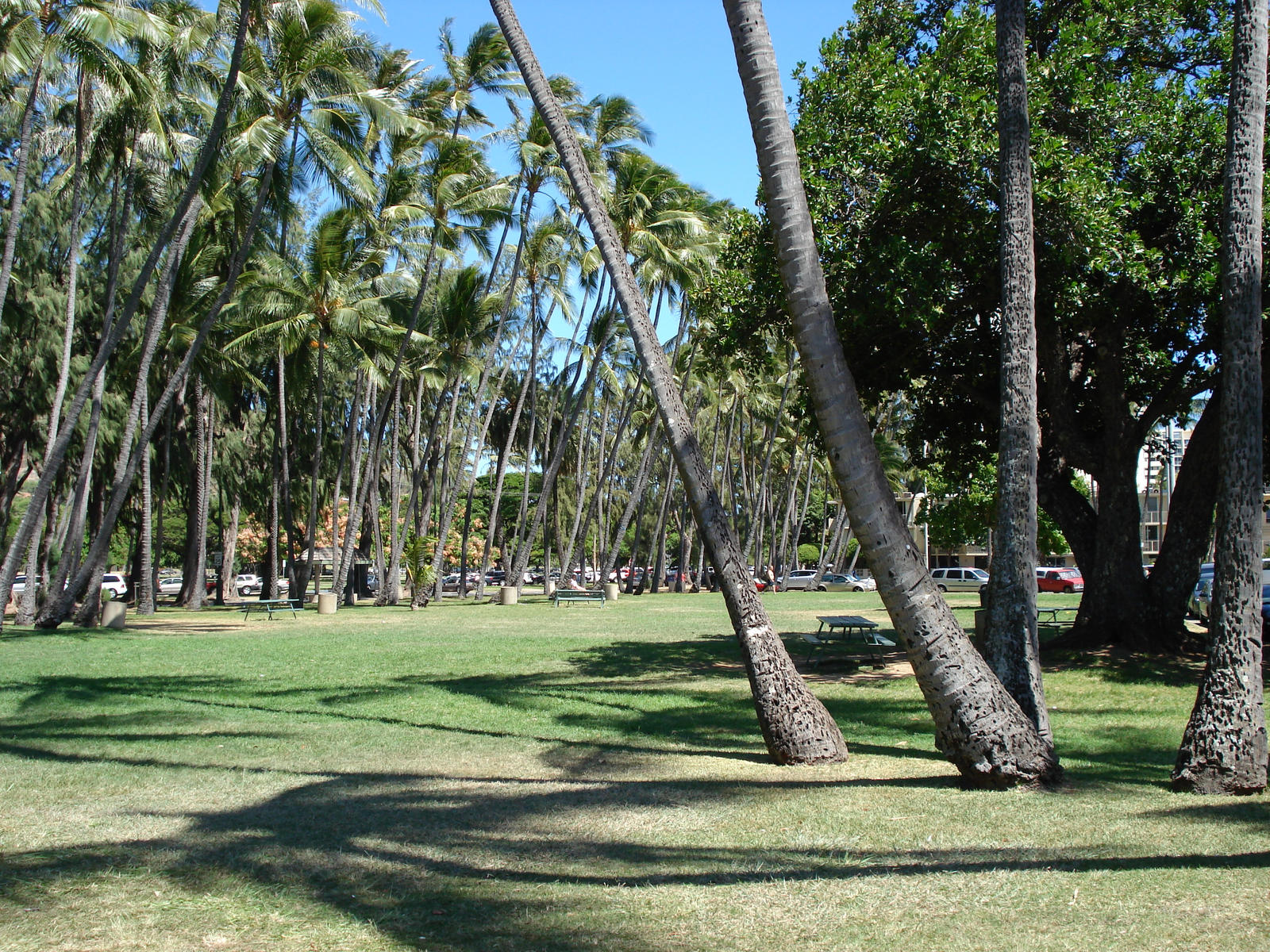 Aloha