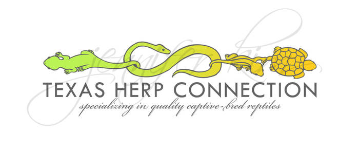 Texas Herp Connection Logo