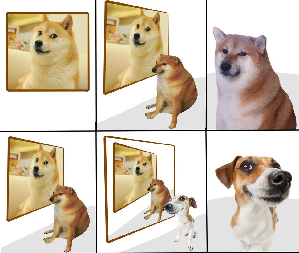 Perro Seption by RodrigDZX on DeviantArt