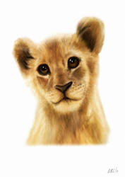 Lion Cub