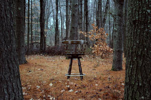 Week 49- solitude by iAmoret Week 49- solitude by iAmoret