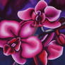 Pink Orchids, Oil Pastel Painting
