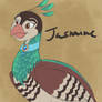 Peahen Jasmine