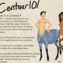 Centaur 101: What is a Centaur *NUDE WARNING*