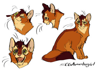 Explore the Best Firepaw Art | DeviantArt