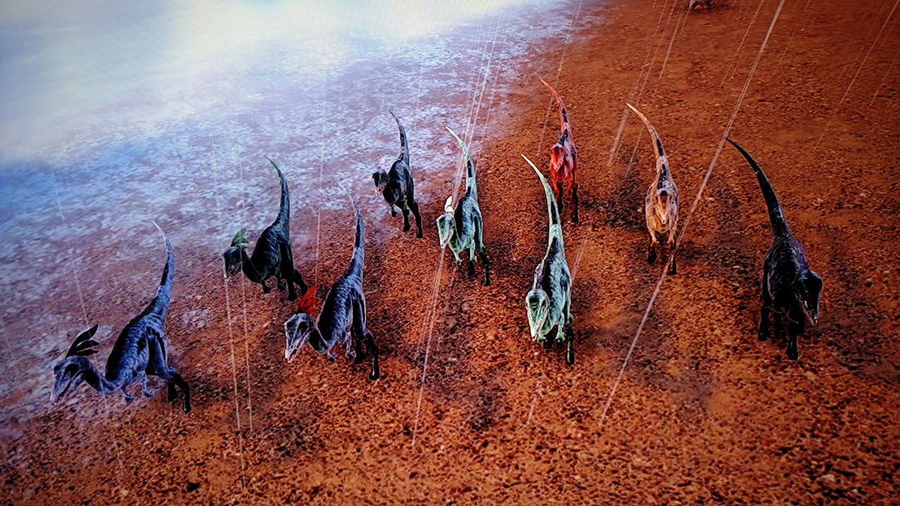 A pack of compys! by CalloftheRaptor on DeviantArt