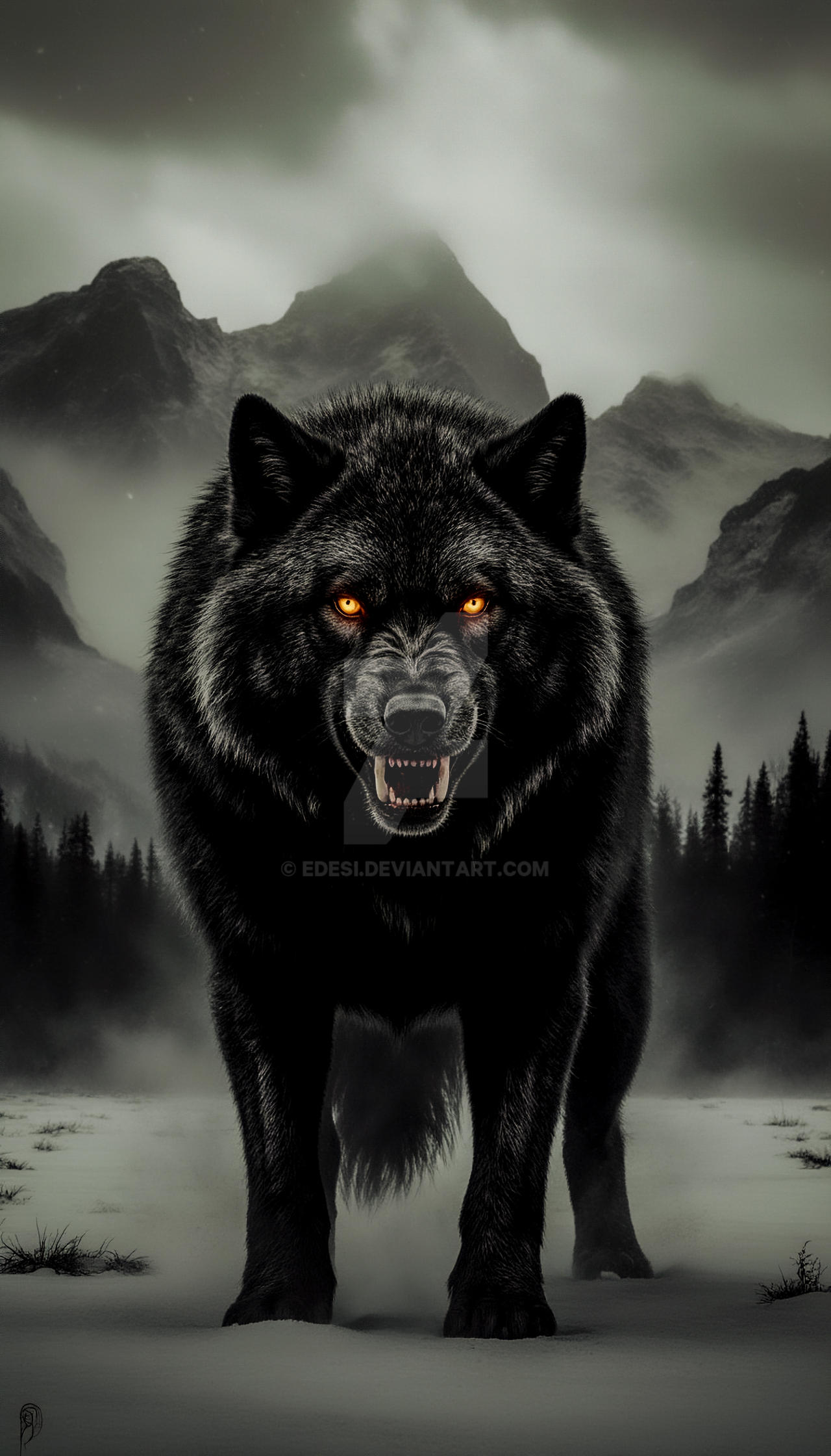 Ferocious black wolf by EDESI on DeviantArt
