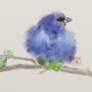 Bird_sketch